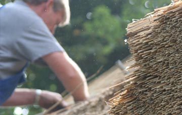 professional Preston Under Scar thatchers